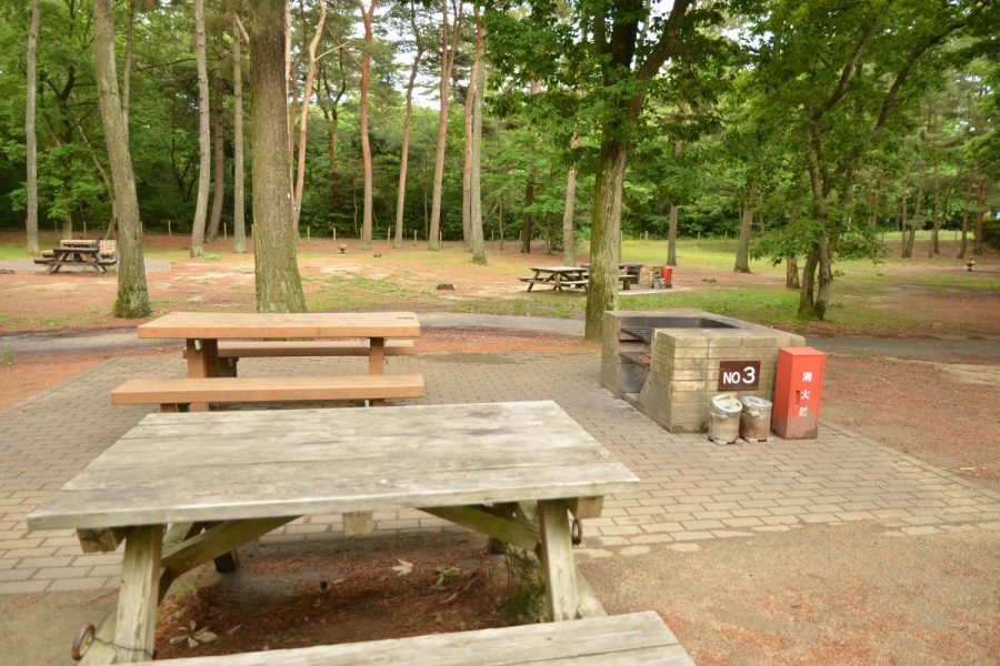 🌳 이나게 해변공원(이나게카이힌코엔) 이미지 2